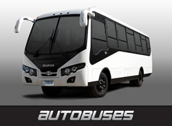 Autobuses